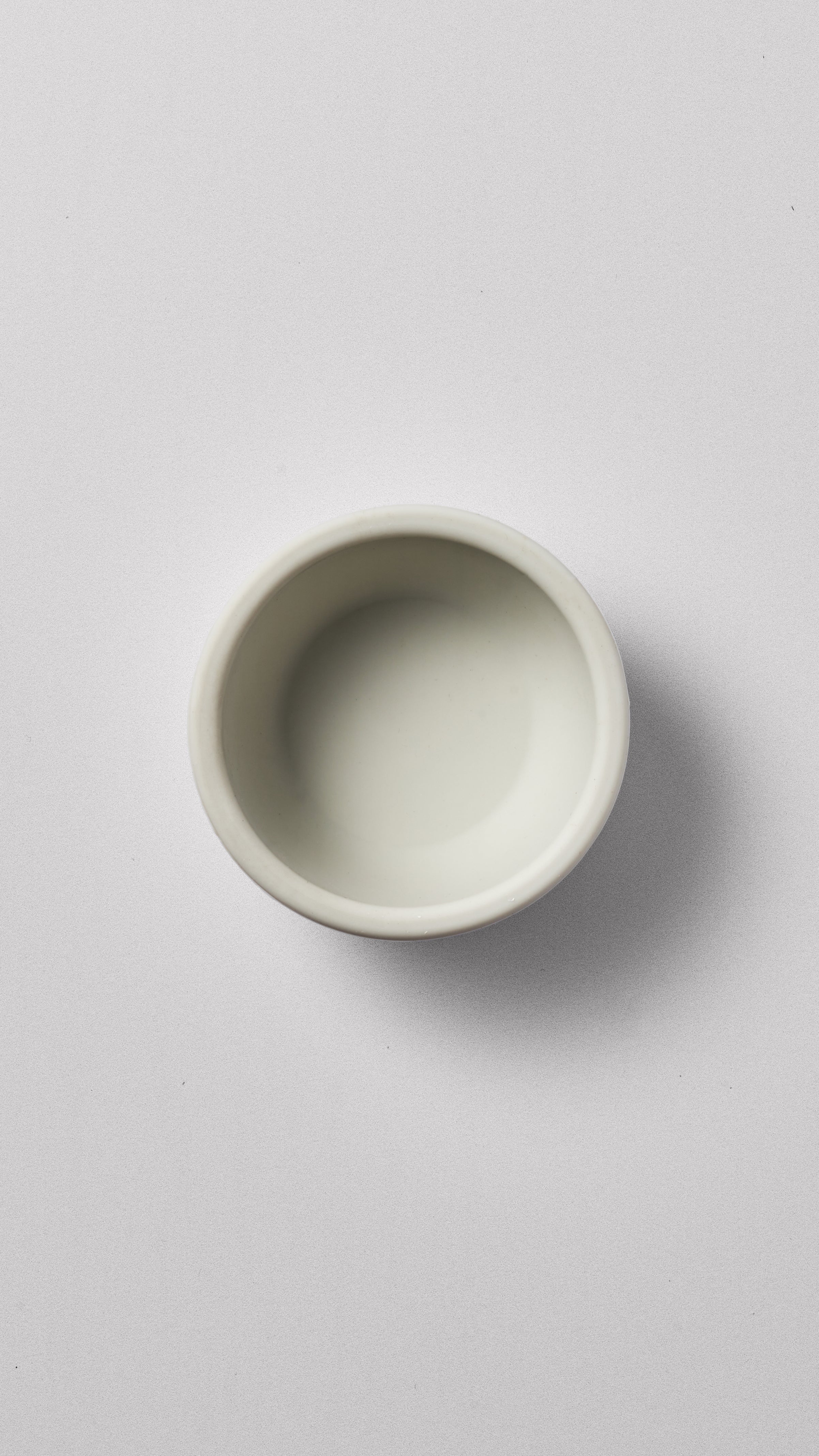 Silicone Bowl